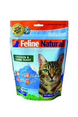 feline_lamb