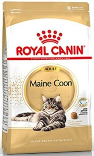 rc-mainecoon